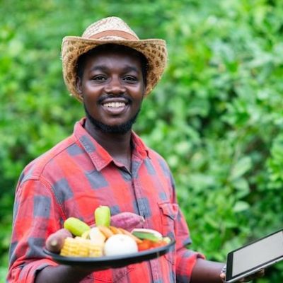 Vegetable box Photos - Download Free High-Quality Pictures _ Freepik