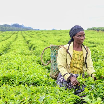 pexels-fatima-yusuf-323522203-30541313